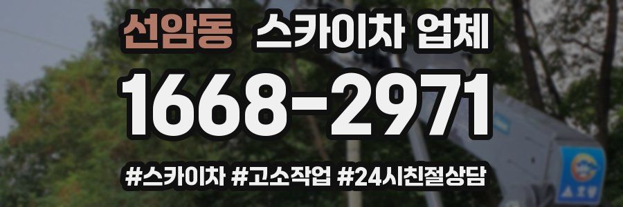 선암동 스카이차 업체