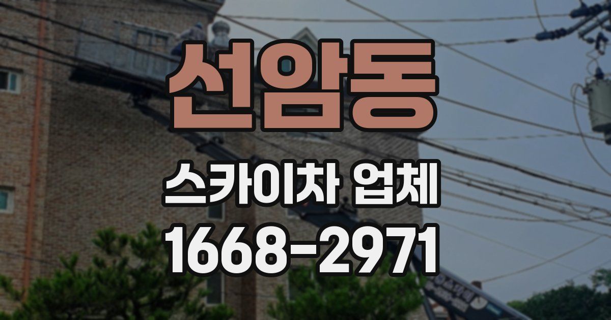 선암동 스카이차 업체
