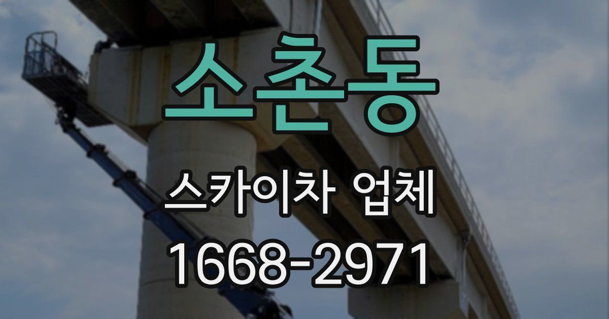 소촌동 스카이차 업체