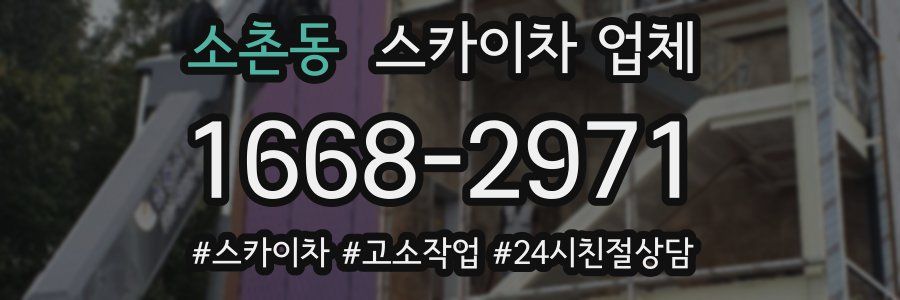 소촌동 스카이차 업체