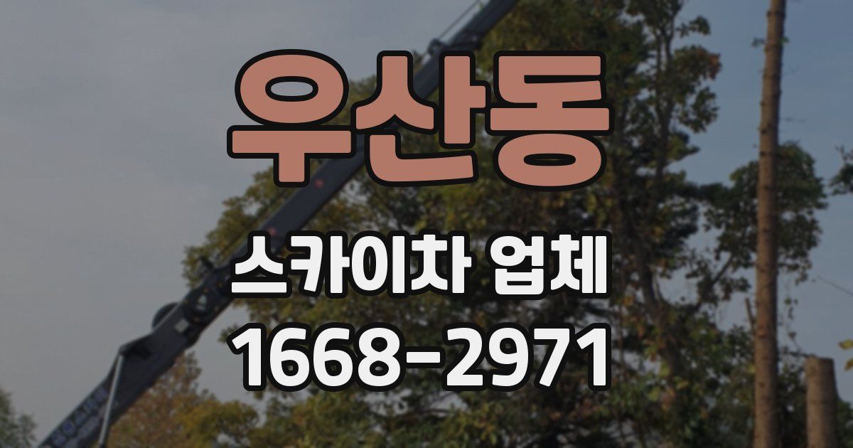 우산동 스카이차 업체