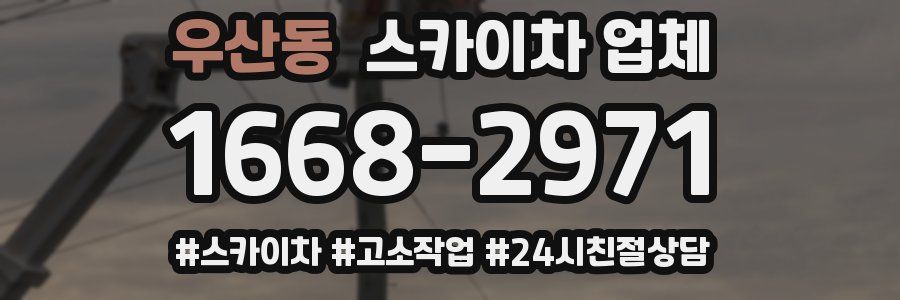 우산동 스카이차 업체