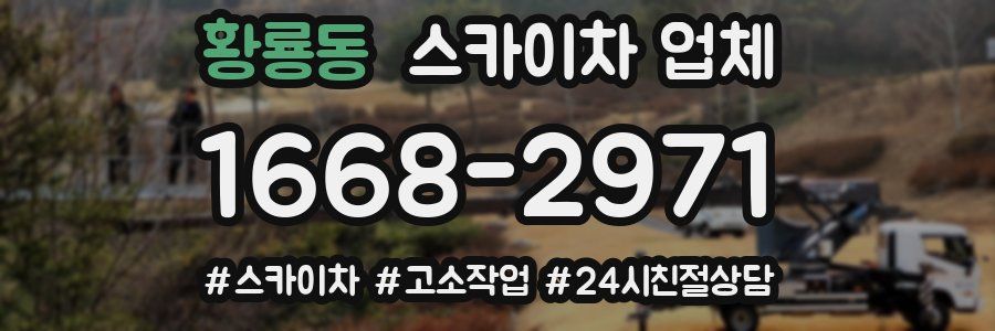 황룡동 스카이차 업체