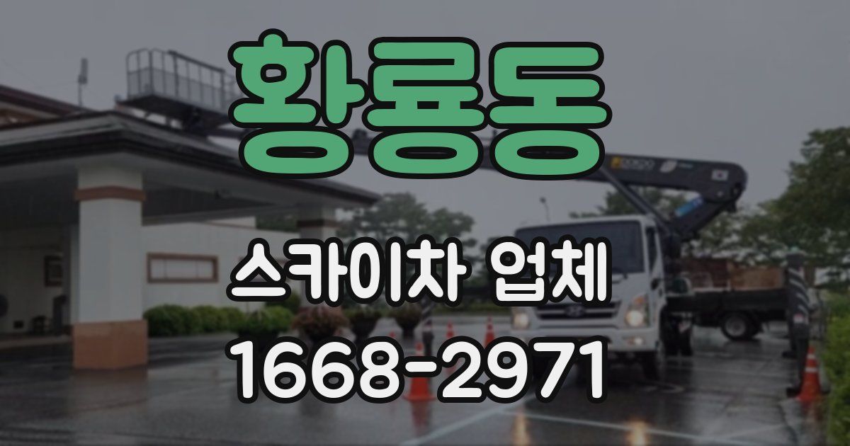 황룡동 스카이차 업체