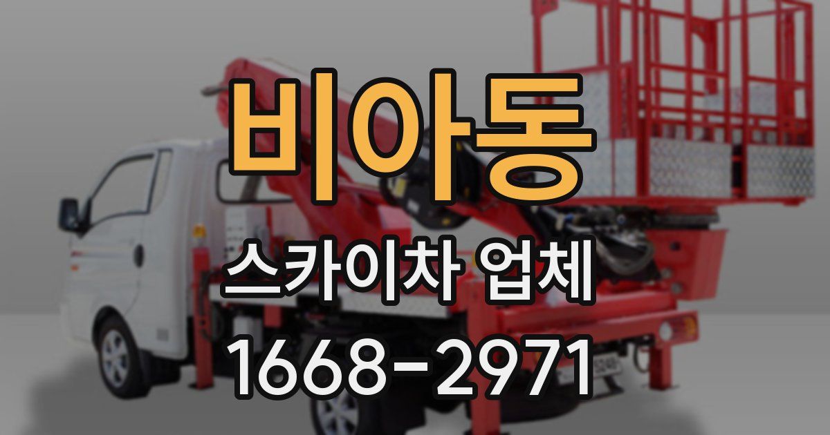 비아동 스카이차 업체