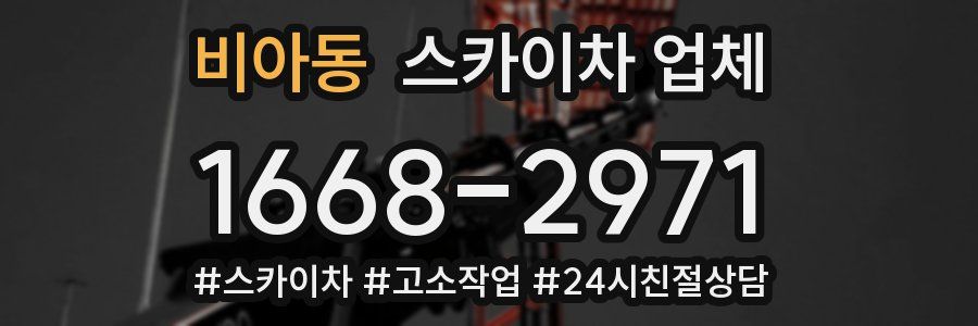 비아동 스카이차 업체