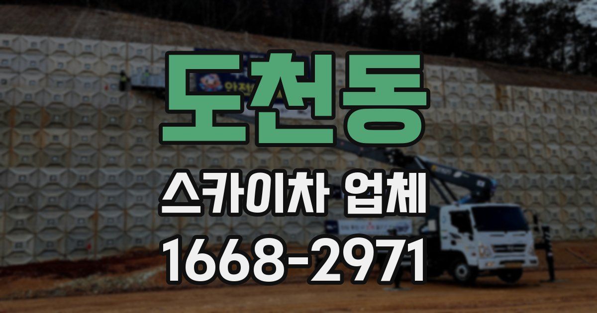 도천동 스카이차 업체