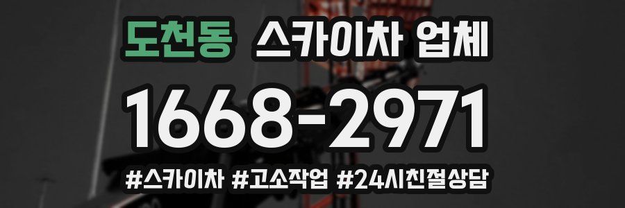 도천동 스카이차 업체