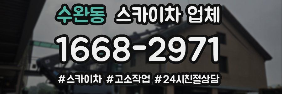 수완동 스카이차 업체