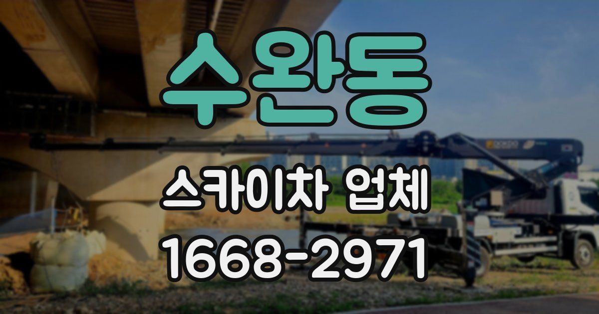 수완동 스카이차 업체