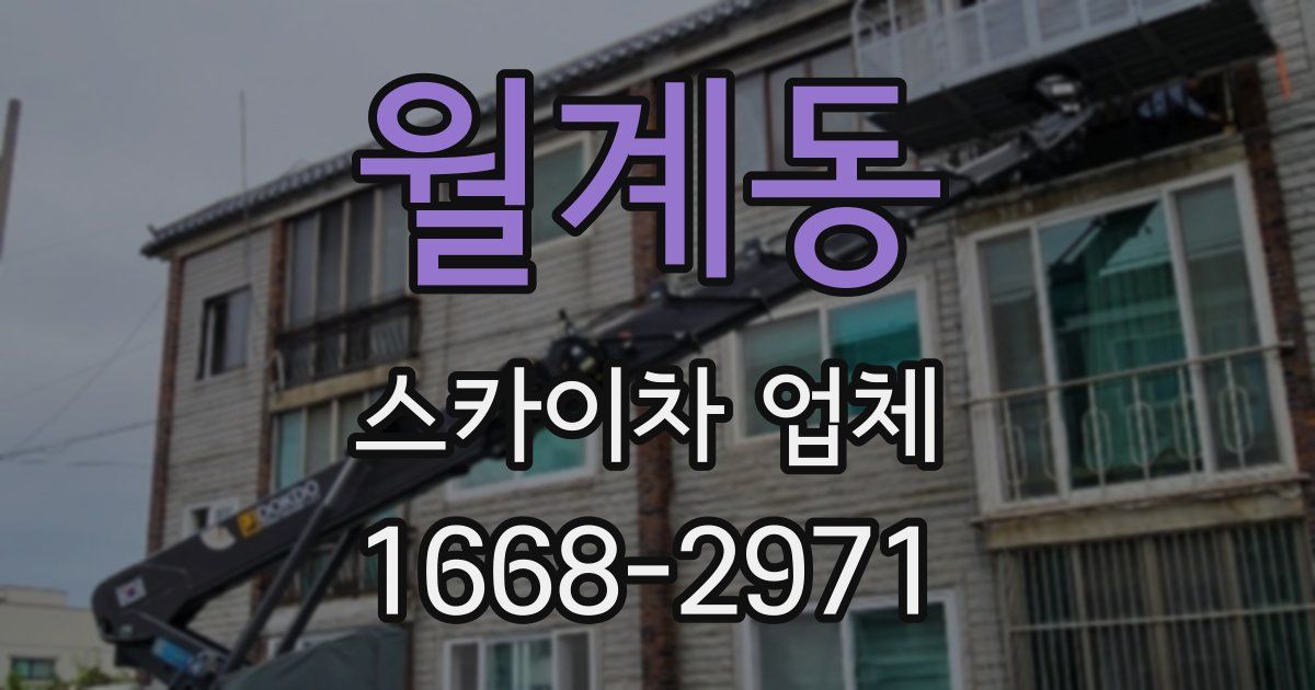 월계동 스카이차 업체