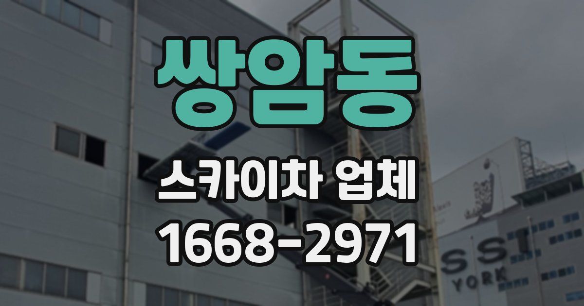쌍암동 스카이차 업체