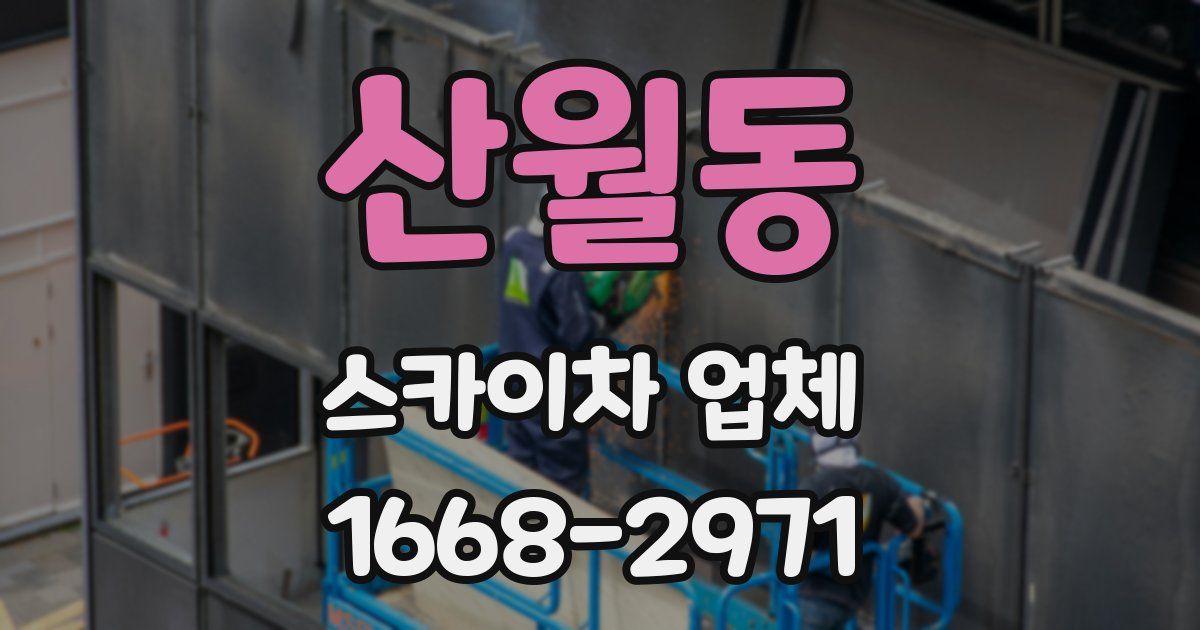 산월동 스카이차 업체