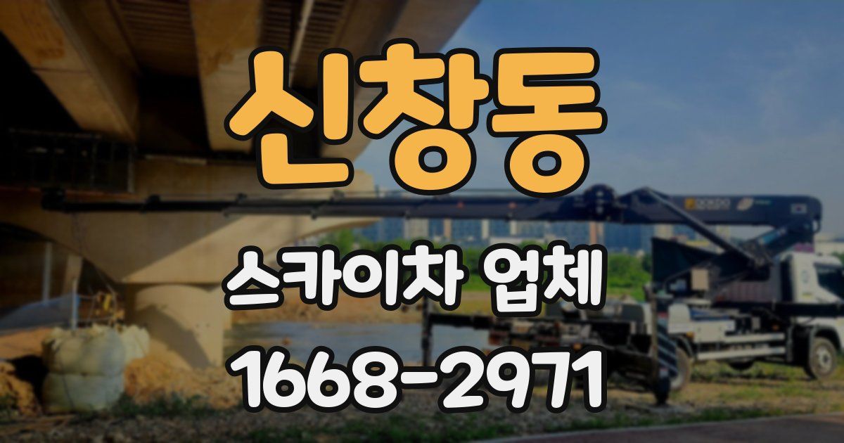 신창동 스카이차 업체