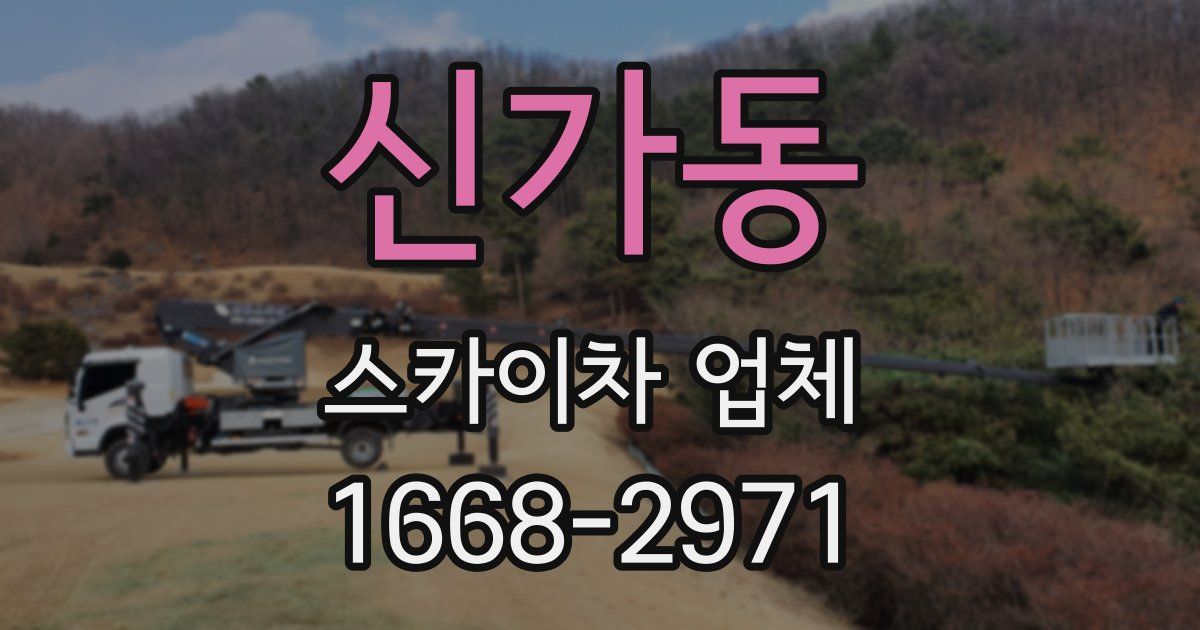 신가동 스카이차 업체