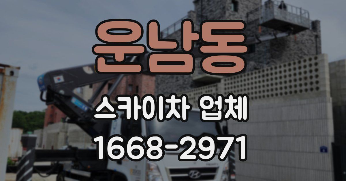 운남동 스카이차 업체