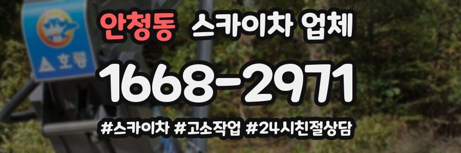 안청동 스카이차 업체