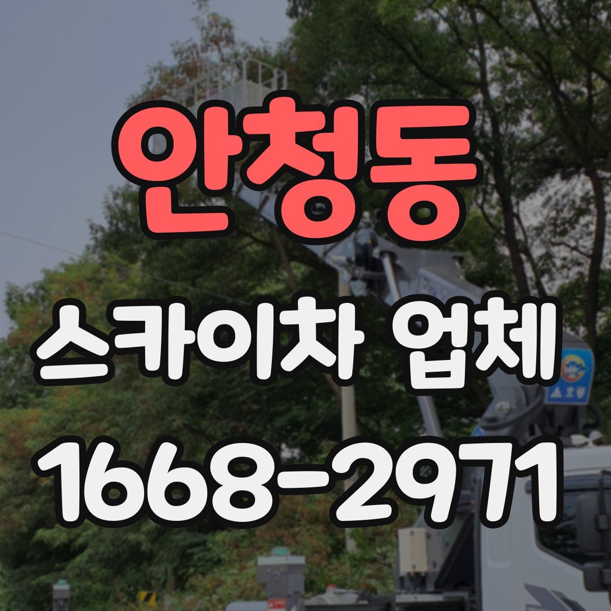 안청동 스카이차 업체