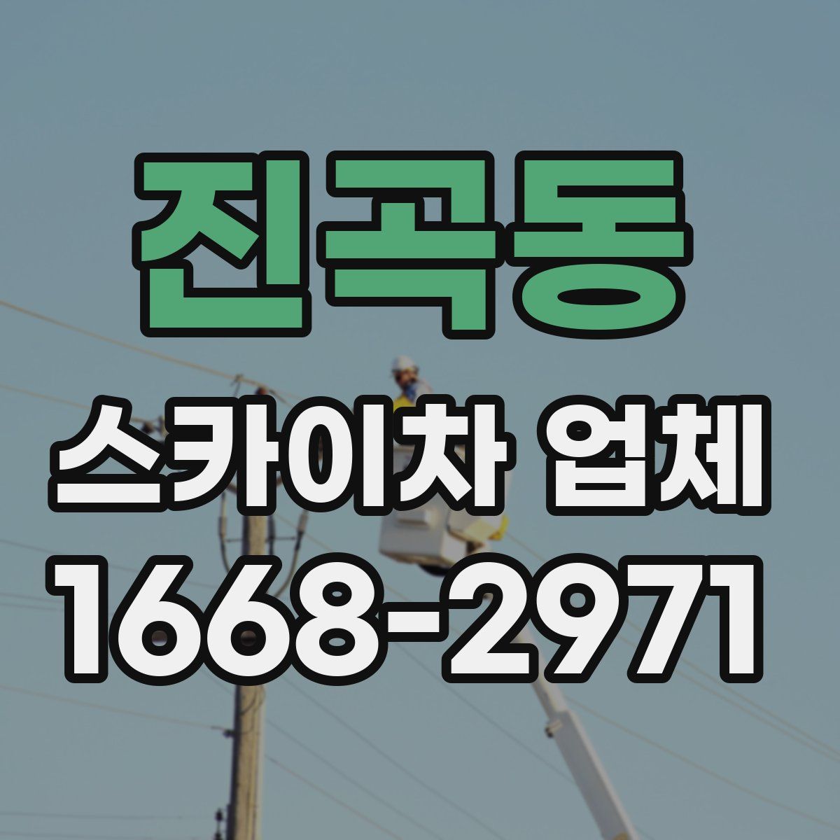 진곡동 스카이차 업체