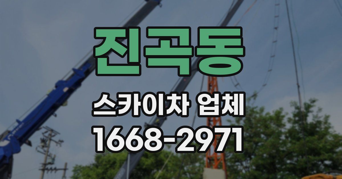 진곡동 스카이차 업체