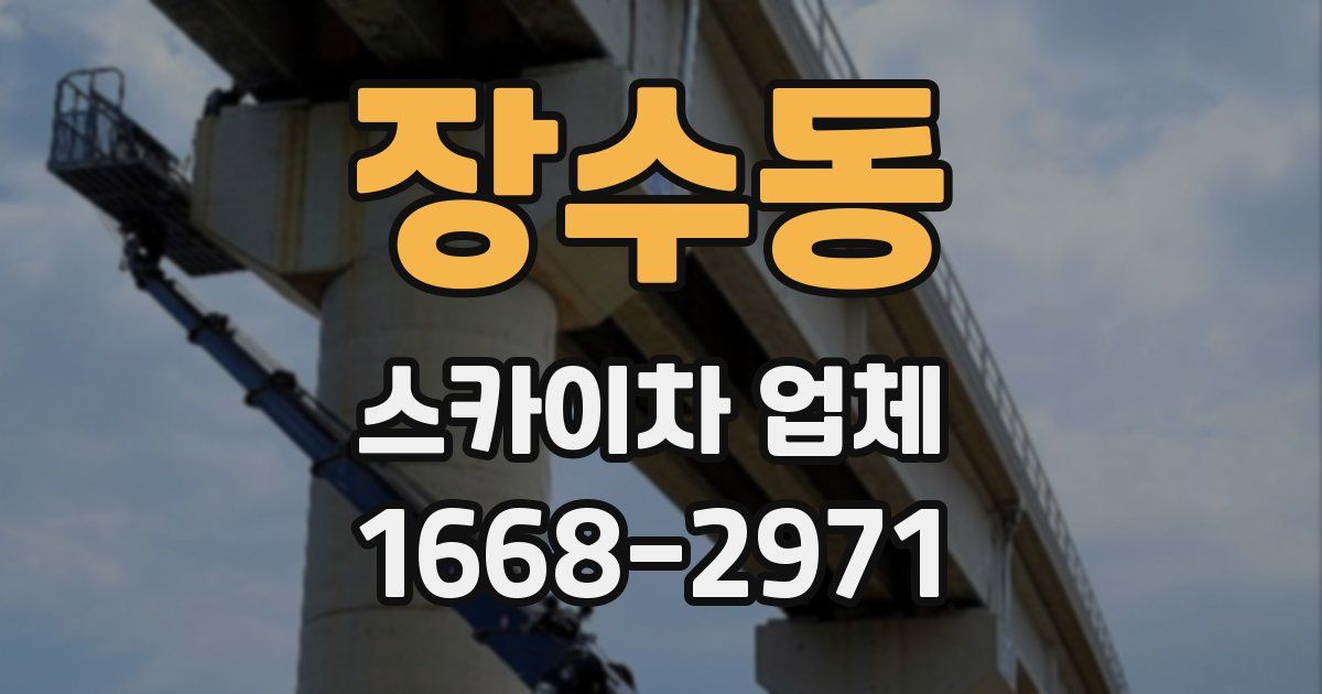 장수동 스카이차 업체