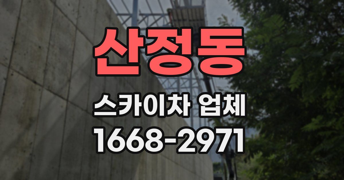 산정동 스카이차 업체