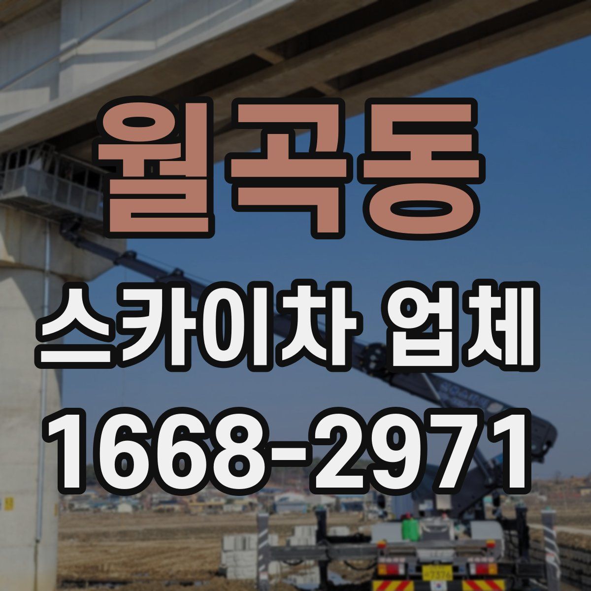 월곡동 스카이차 업체