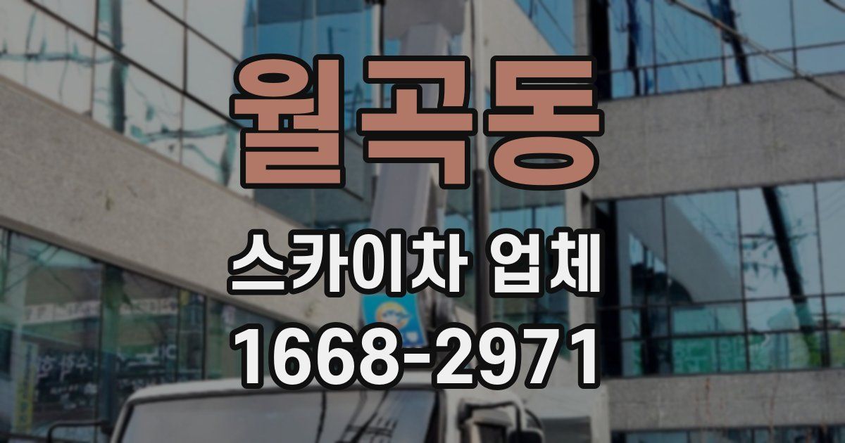 월곡동 스카이차 업체
