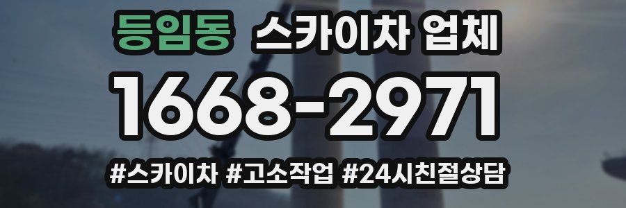 등임동 스카이차 업체