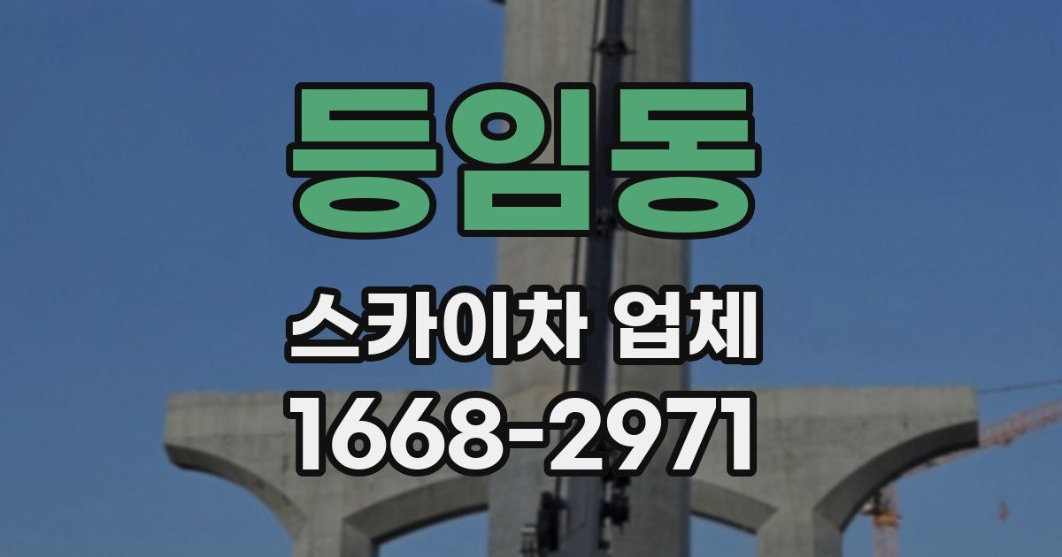 등임동 스카이차 업체