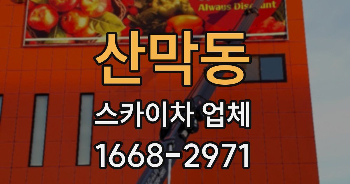 산막동 스카이차 업체