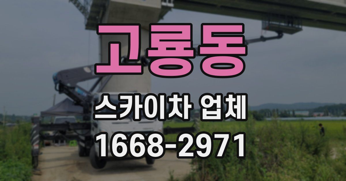 고룡동 스카이차 업체