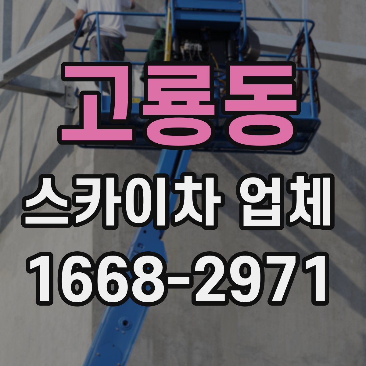 고룡동 스카이차 업체