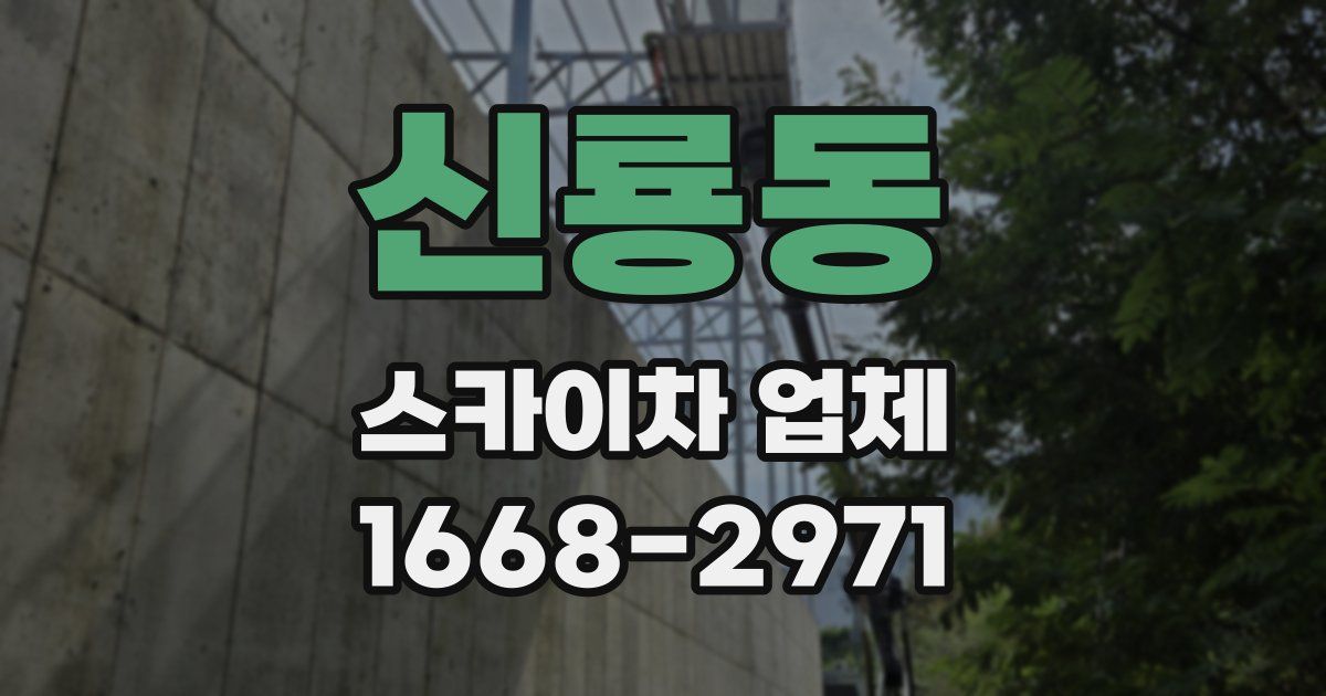 신룡동 스카이차 업체