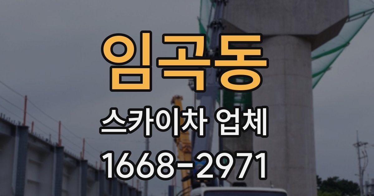 임곡동 스카이차 업체