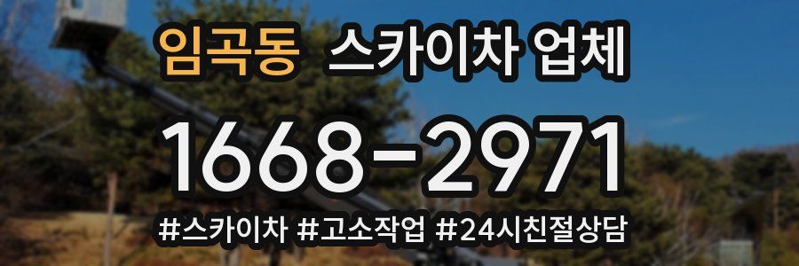 임곡동 스카이차 업체
