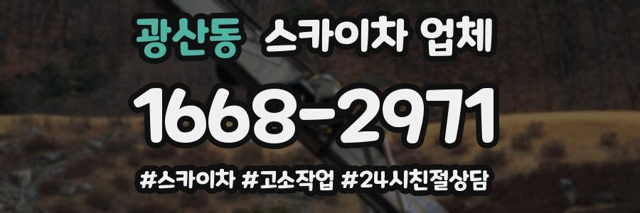 광산동 스카이차 업체