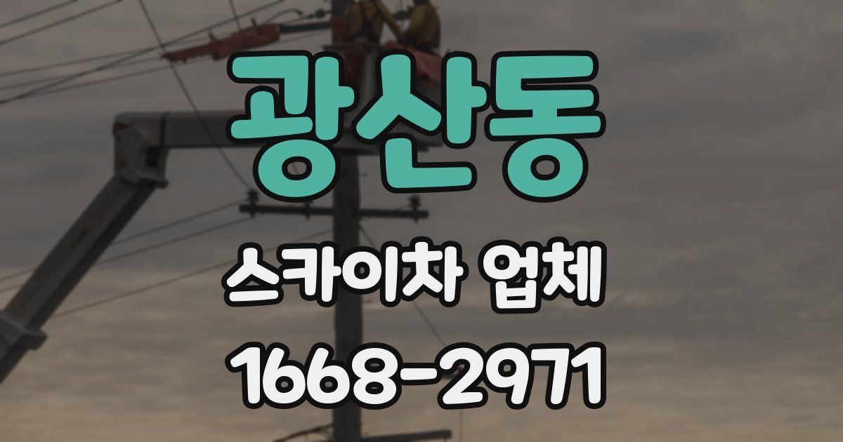 광산동 스카이차 업체