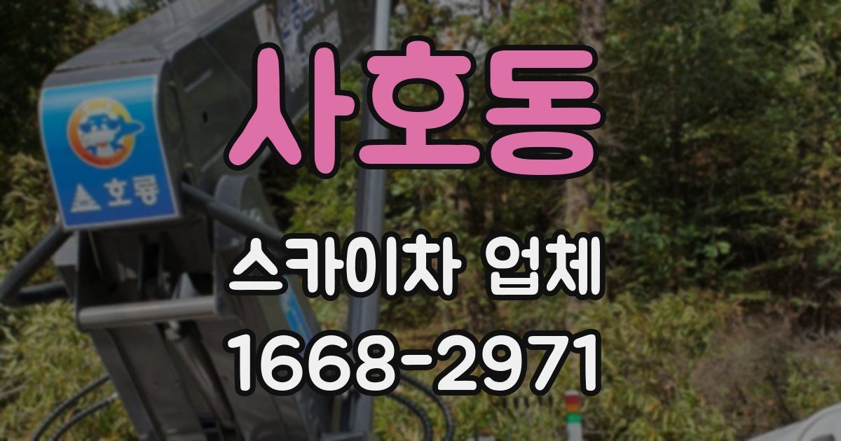 사호동 스카이차 업체
