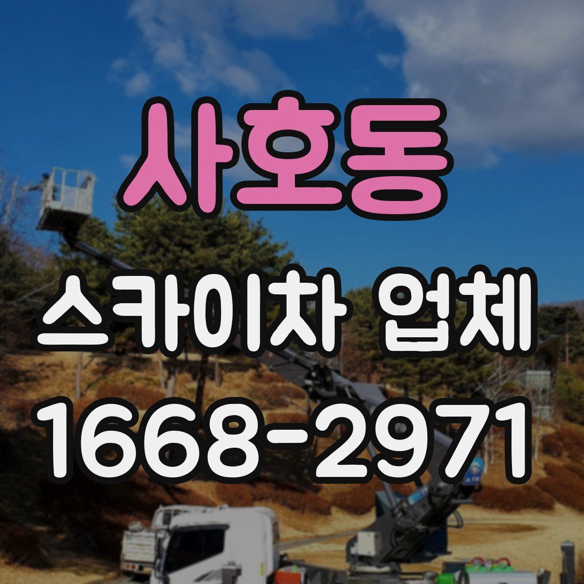 사호동 스카이차 업체