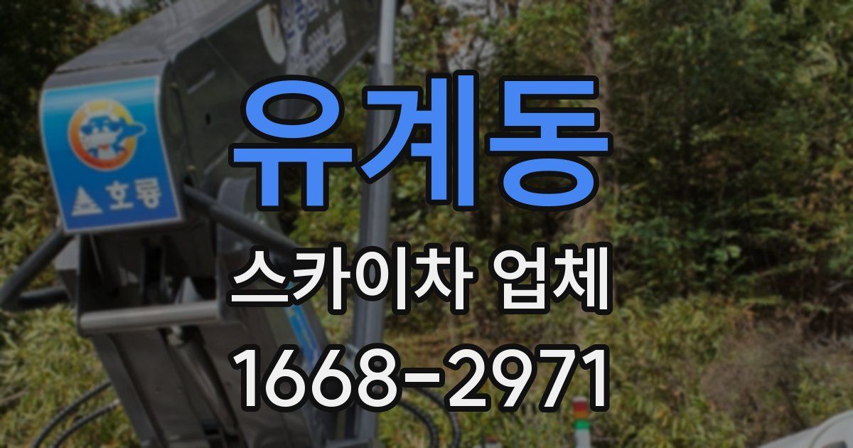 유계동 스카이차 업체