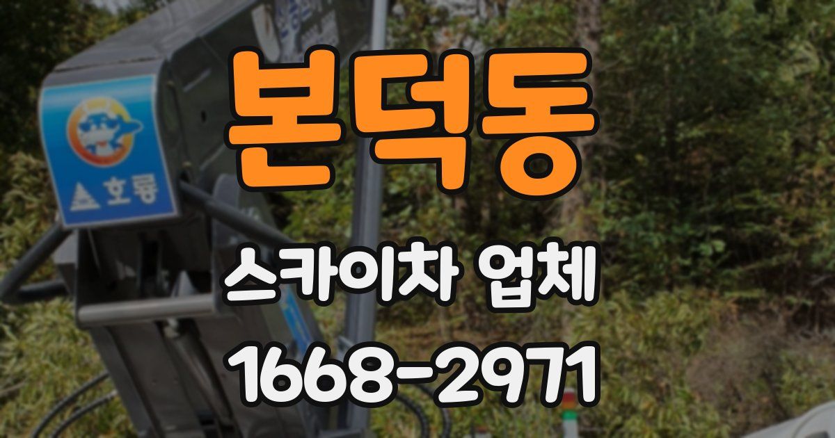 본덕동 스카이차 업체