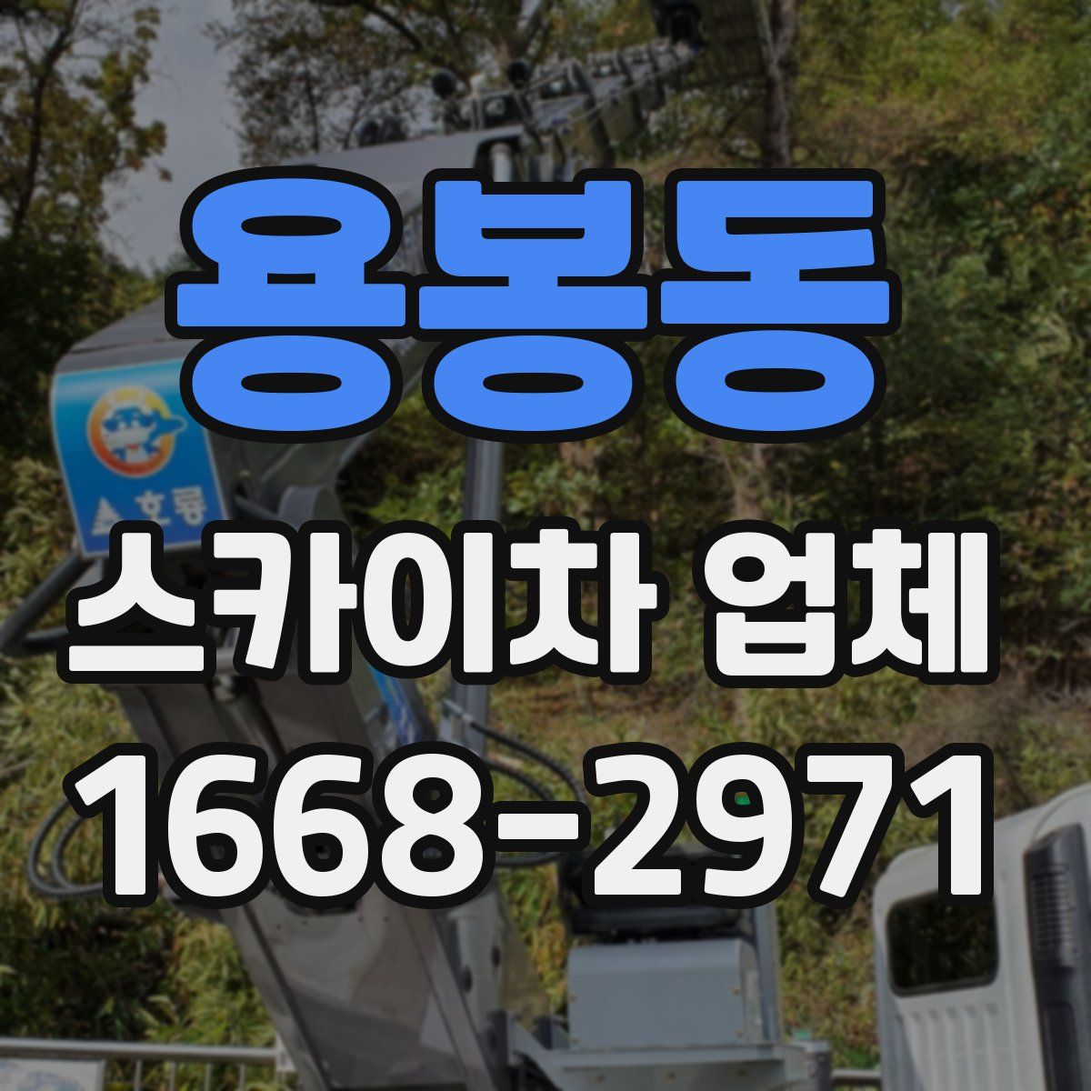 용봉동 스카이차 업체