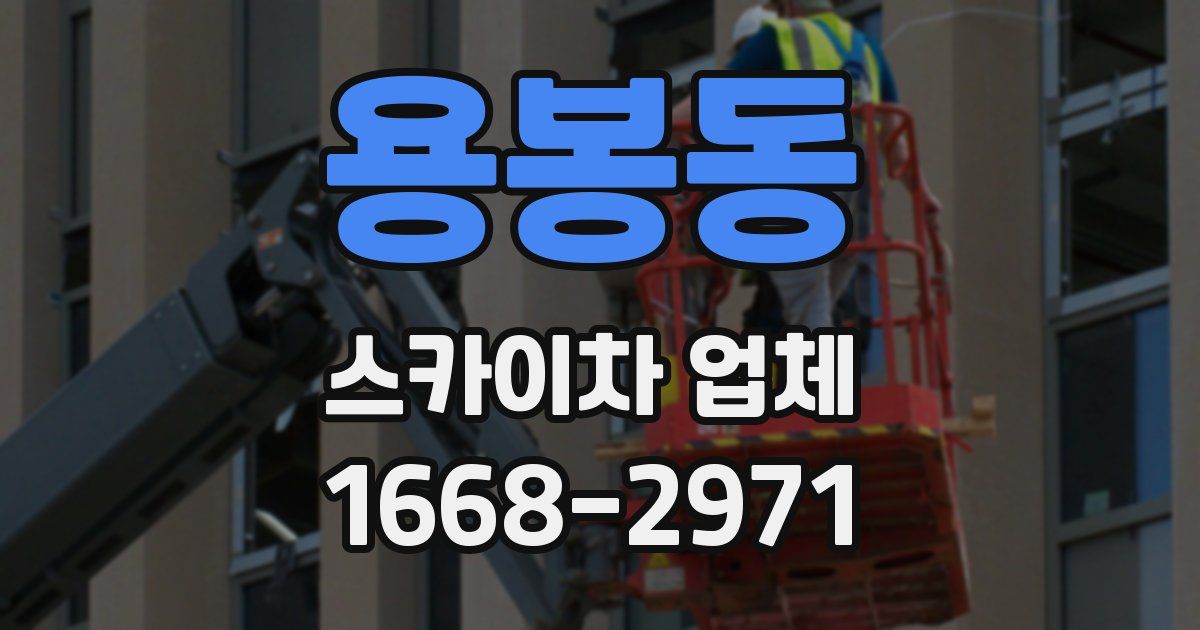 용봉동 스카이차 업체