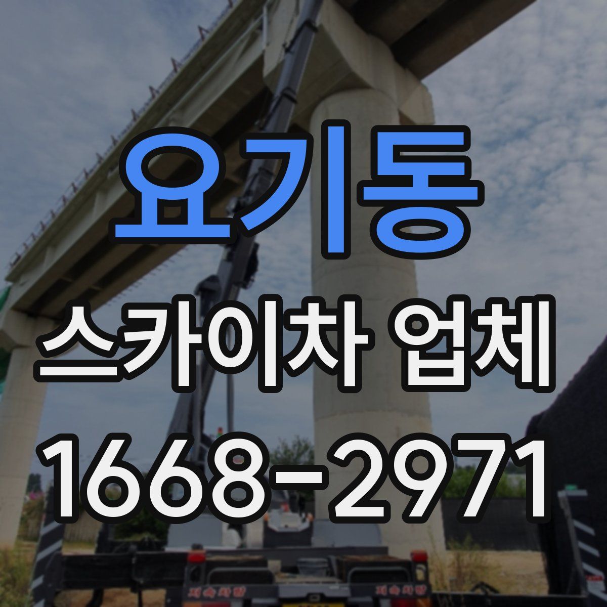 요기동 스카이차 업체