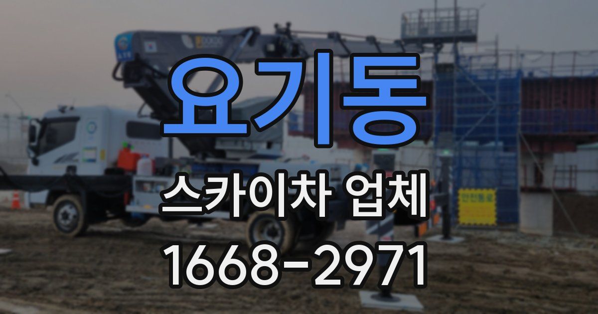 요기동 스카이차 업체