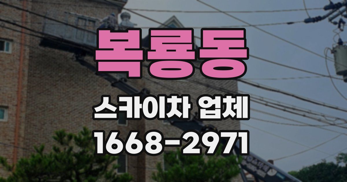 복룡동 스카이차 업체