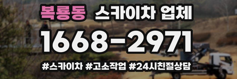 복룡동 스카이차 업체