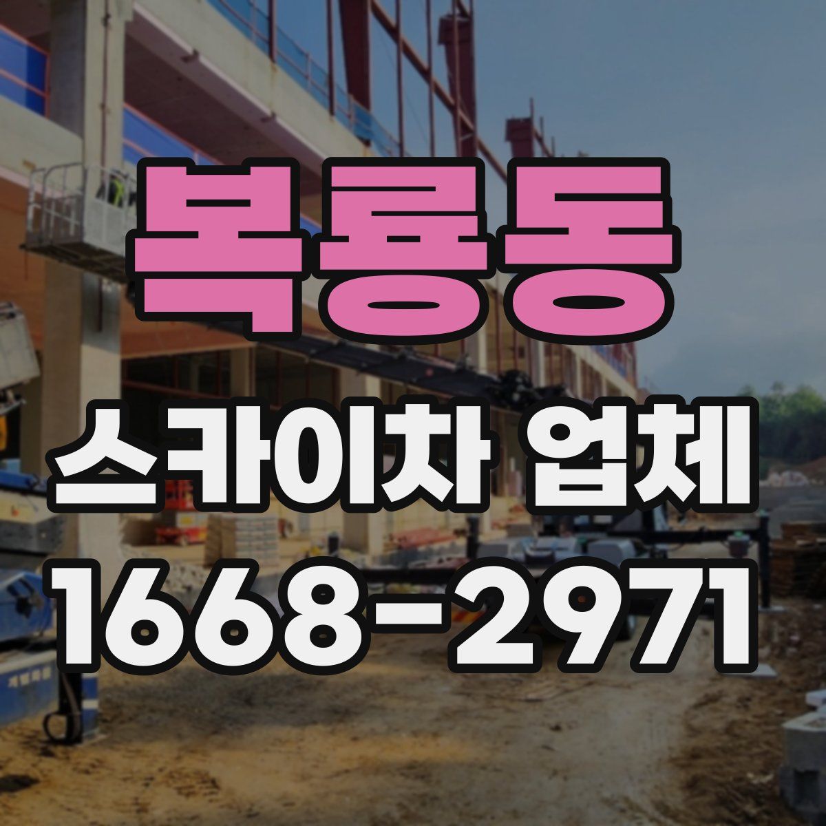 복룡동 스카이차 업체
