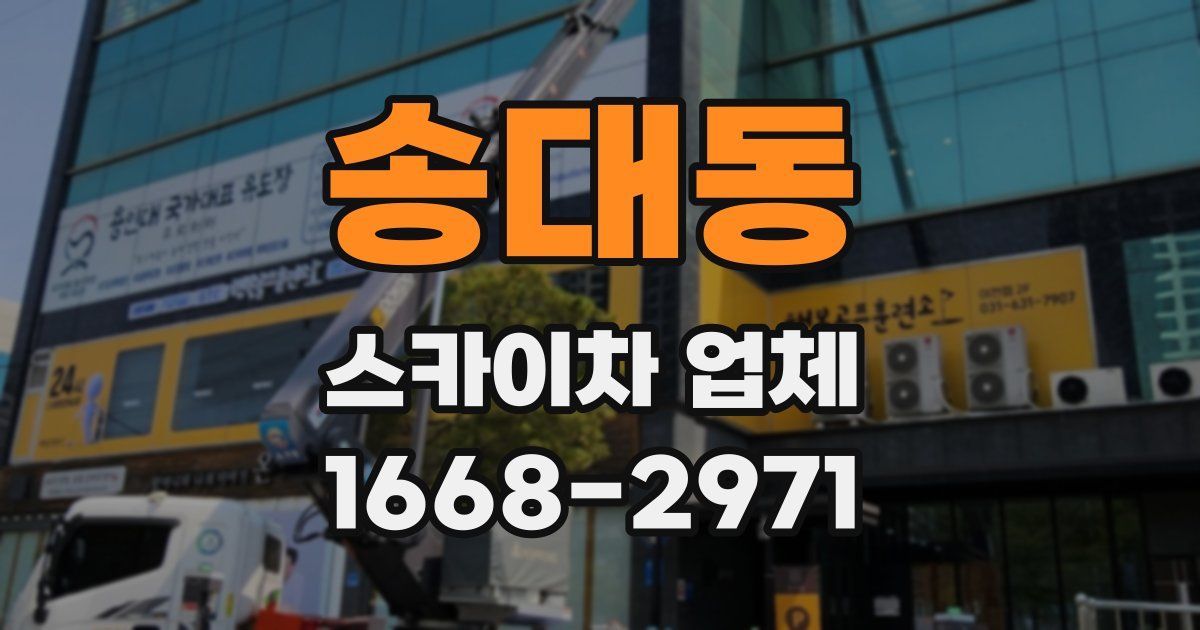 송대동 스카이차 업체